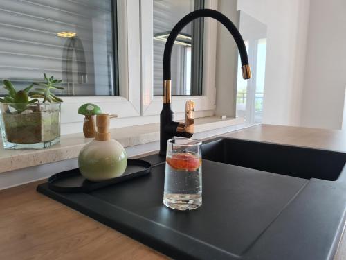 Apartment Andric Premium