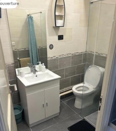 ein Badezimmer mit einem WC, einem Waschbecken und einem Spiegel in der Unterkunft Appartement type F2 in Soissons