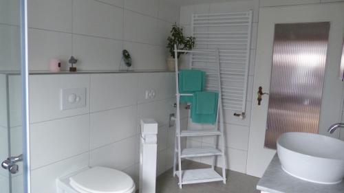 een badkamer met een wit toilet en een wastafel bij Ferienwohnung Sohnrey in Titisee-Neustadt