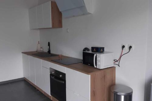 a small kitchen with a microwave and a sink at Gite 4 personnes Proche d'Arras in Warlus