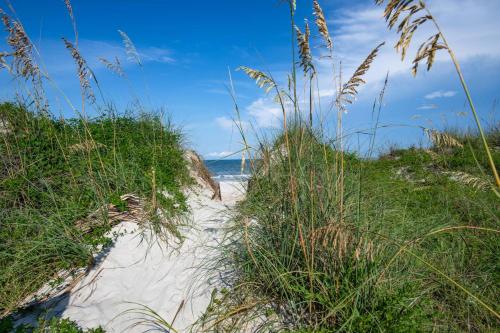a sandy beach with grass and the ocean in the background at Oceans 13 Unit A in Saint Augustine Beach