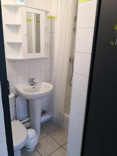 une salle de bain avec un lavabo, des toilettes et un miroir dans l'établissement 5 min à pied de la plage - 2 pers - studio D, à Berck-sur-Mer