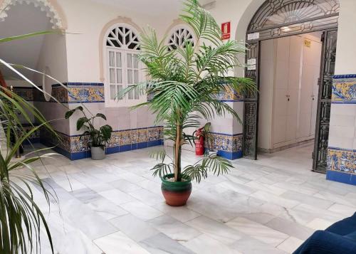 un vestíbulo con palmeras en una sala con azulejos en LIAM STUDIO IN SEVILLA CENTRIC, en Sevilla
