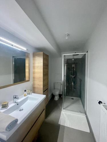 une salle de bain avec une douche, un lavabo et des toilettes dans l'établissement Appartement chic près de La Défense à 30 mn des Champs Elysées, à Bezons
