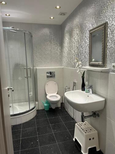 a bathroom with a toilet and a sink and a shower at Luxury Premium Furnished Apartment in Bonn