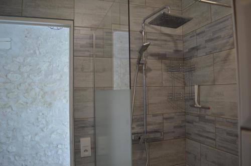 une salle de bain avec une douche avec une porte vitrée dans l'établissement Prés du zoo de beauval, Gîtes agréable 