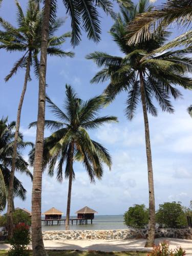 a group of palm trees on a beach at LooLa Adventure Resort in Telukbakau