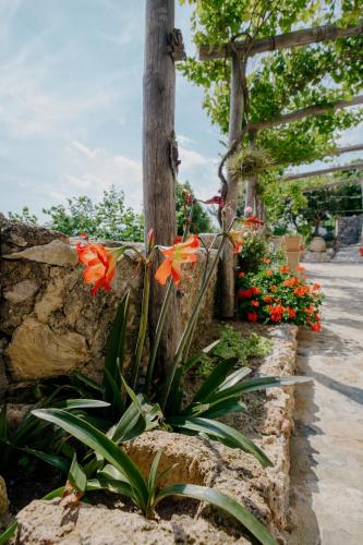 a plant with orange flowers next to a stone wall at Ca' d'Alda in Borgio Verezzi