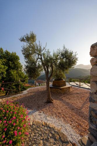 a tree in a gravel area with a bench and flowers at Ca' d'Alda in Borgio Verezzi