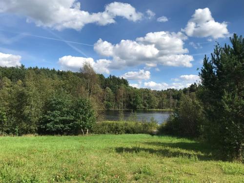 a grassy field with a lake in the background at Dom Kaszubski in Bytów