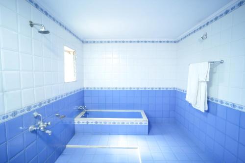 a blue tiled bathroom with a tub and a window at Nilambag Palace Hotel in Bhavnagar