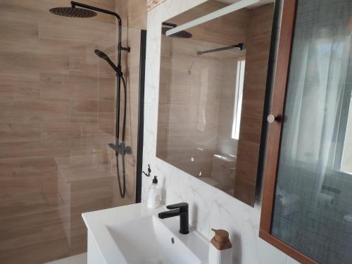 y baño con lavabo y ducha con espejo. en APT GUADALHORCE by Malaga Picasso Rentals Selection, en Málaga