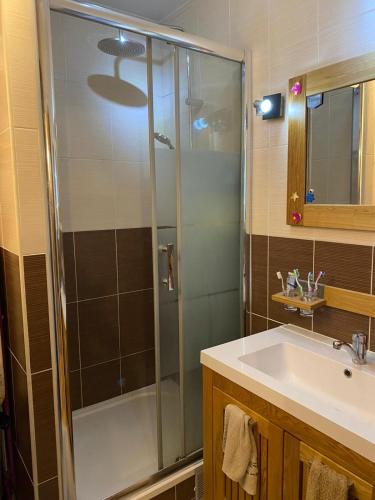 une salle de bain avec douche et lavabo dans l'établissement Tout confort, à Les Pavillons-sous-Bois