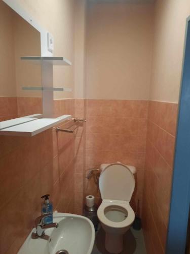 a bathroom with a toilet and a sink at Penzion Avena in Stříbro