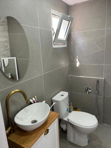ein Badezimmer mit einem Waschbecken, einem WC und einem Spiegel in der Unterkunft Shalva in Aschkelon