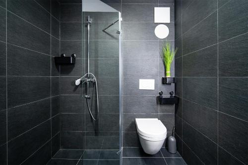 a bathroom with a shower and a toilet in it at Blauer Stein Apartments WH4 in Pulheim