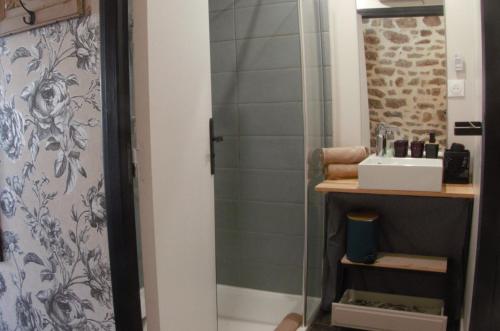 a bathroom with a shower and a sink at Maison d'hôtes KerCalow, Chambres d'hôtes in Pleine-Fougères