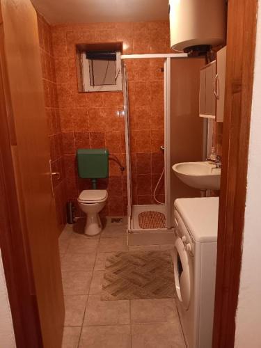 a bathroom with a green toilet and a sink at Apartmani Ivan in Gornji Karin