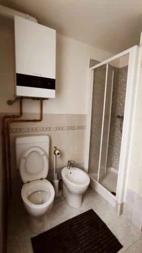 a bathroom with a toilet and a sink and a shower at Casa singola totalmente indipendente in Introd