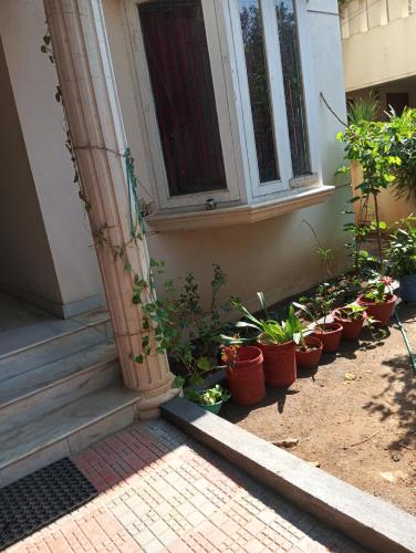 een stel potplanten die buiten een gebouw zitten bij Shree Eco Stay in Chennai