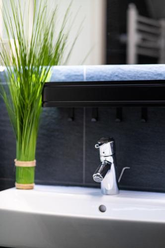 a bathroom sink with a faucet with a plant on it at Blauer Stein - Echo WH05 - Penthouse in Pulheim