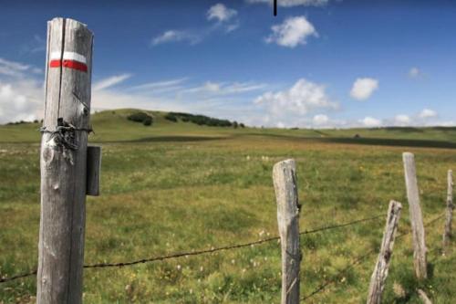 a barbed wire fence in the middle of a field at Appart T4 85m2 spacieux climatisation parking in Rodez