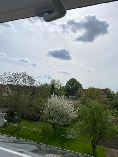 Aussicht von einem Autofenster auf einen blühenden Baum in der Unterkunft Bane Apartments 95qm - Messewohnung, Ferienwohnung,Monteurwohnung in Hannover