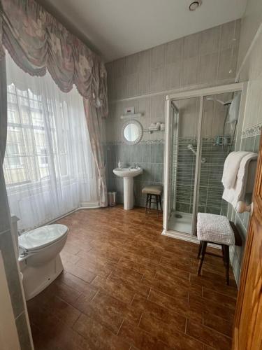 een badkamer met een toilet en een wastafel bij Ashmore House in Cashel