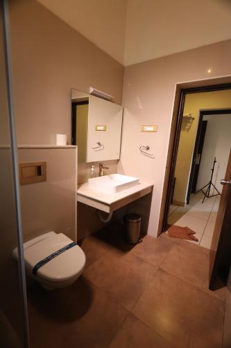 ein Badezimmer mit einem Waschbecken, einem WC und einem Spiegel in der Unterkunft Queens Hotel -Yellow Lake Resorts &Spa -Yercaud in Yercaud