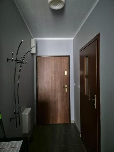 baño con puerta de madera y luz en Apartament Bunsha Kraków, en Cracovia