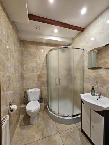 a bathroom with a shower and a toilet and a sink at POKUSA Noclegi in Przewóz
