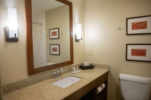 Comfort Inn & Suites في ايري: حمام مع حوض ومرآة