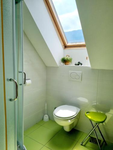 a bathroom with a toilet and a skylight at Apartmaji pri Ticelnu in Bovec