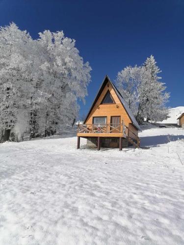 una cabaña en un campo cubierto de nieve con árboles en Koliba Luča Smrčevo Brdo, en Žabljak