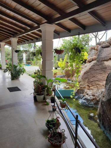 une terrasse avec des plantes en pot et un étang dans l'établissement Sunnyside Bungalow, à Naula