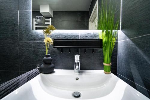 un bagno con lavandino e piante di Blauer Stein Apartments WH6 a Pulheim
