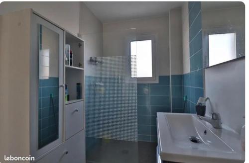 une salle de bain avec un lavabo et une douche dans l'établissement Maison de l’occitanie, à Bessan