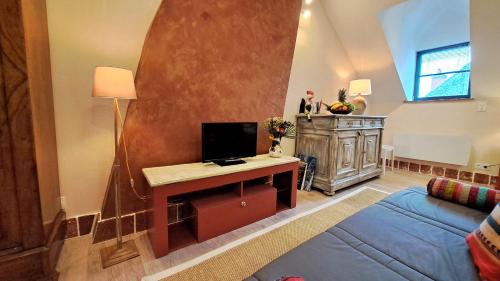 Televisyen dan/atau pusat hiburan di COSY STUDIO-LOFT climatisé
