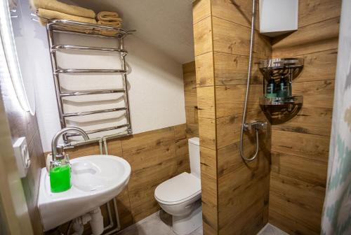 a bathroom with a toilet and a sink and a shower at Захарова Оселя БАСЕЙН на території є Чан - Джакузі in Slavske