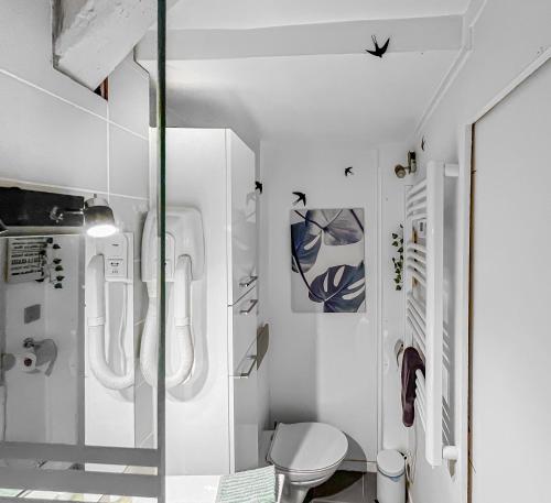 baño con paredes blancas y aseo en Appartement Lumineux à Thorigny en Thorigny-sur-Marne