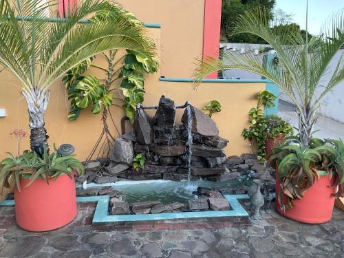 a garden with a water fountain in a yard at Taste Of Freedom in Brighton Village