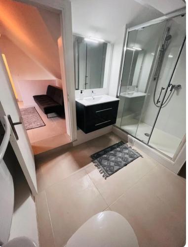 - une vue de tête sur une salle de bains pourvue d'un lavabo et d'une douche dans l'établissement Très belle maison lac d Enghien les bains 15 min Paris, à Saint-Gratien