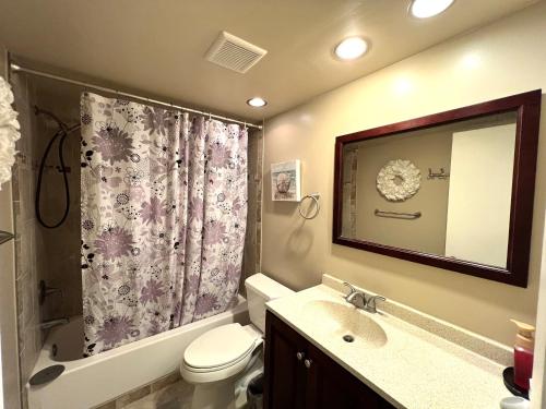 a bathroom with a toilet and a sink and a mirror at Bayshore Yatch Tennis Condo 2br 3 beds, Walking Distance to Beautiful Quite Beach in Clearwater Beach