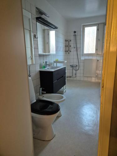 ein Bad mit einem WC und einem Waschbecken in der Unterkunft Jakan in Stockholm