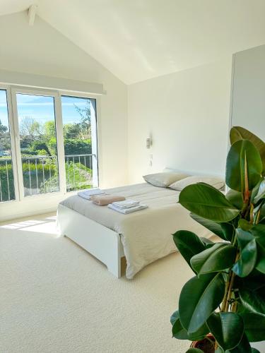 - une chambre blanche avec un lit et une plante dans l'établissement L’Abri-Cotier - Maison rénovée, à Dinard