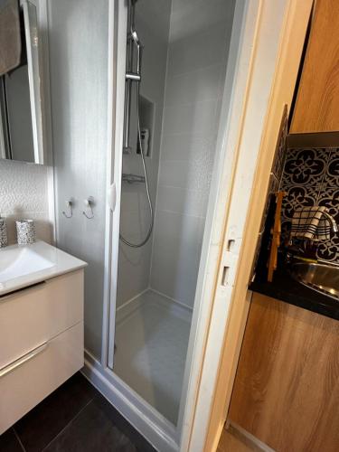 een badkamer met een douche en een wastafel bij Casa Enna in Rueil-Malmaison