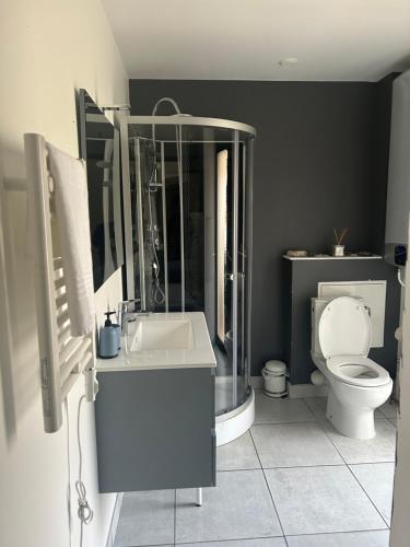 a bathroom with a toilet and a shower and a sink at Lumineux Appart à Disneyland in Montry