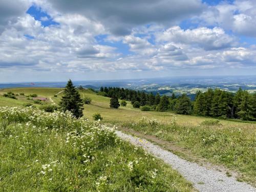 a dirt road on a grassy hill with flowers at Landhotel Hubertus in Unterelsbach