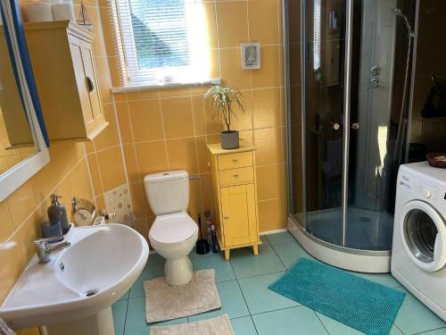 a bathroom with a toilet and a sink and a shower at Family house room in Salacgrīva