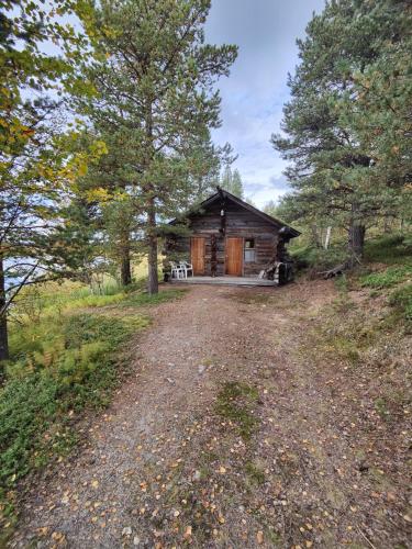 a cabin in the woods with a dirt road in front at Lakeside Cabin Hukkajärvi no electricity no running water in Karesuvanto